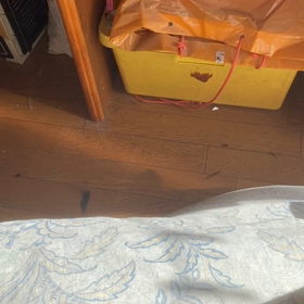 こうやってすんだろの画像