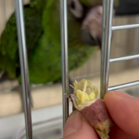 ブログ上がんないな。の画像