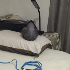 第二弾！！の画像