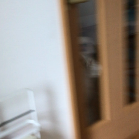 必死な姿が可愛いのの画像