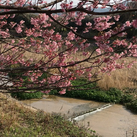 春のおとずれの画像
