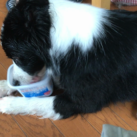 一心不乱にの画像