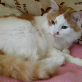 おかん…まだ居てるの？の画像