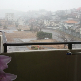 鎌倉 初雪の画像