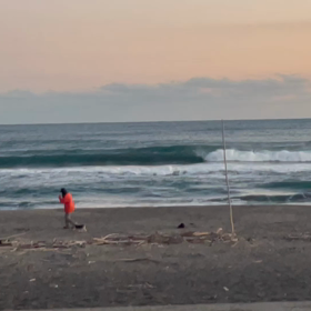 夕方マルキはチューブありの画像