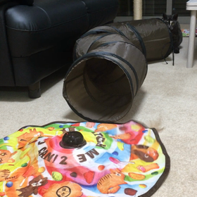 好きと好きが合わさったら…の画像