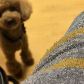 甘やかしてまう。の画像