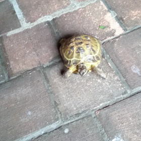 久々～(^-^)/の画像