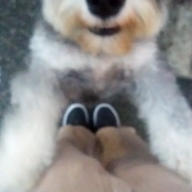 お泊まり　ロンくんの画像