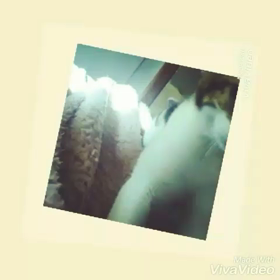 ミルクタップの画像