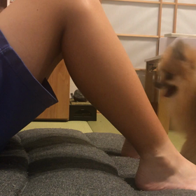 みかんと遊ぼ❣️の画像