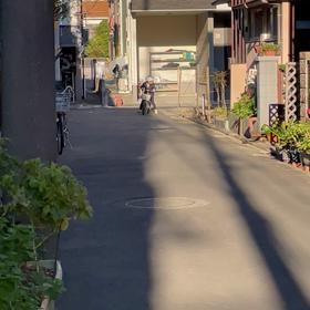 辰、補助なし自転車の画像