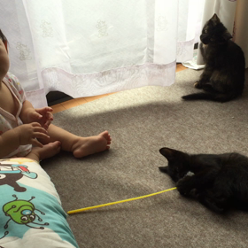 今日はナッツの日の画像