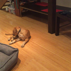 何かに気がついた瞬間②の画像