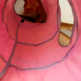 トンネル2の画像