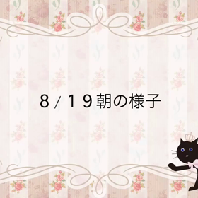 朝の様子の画像