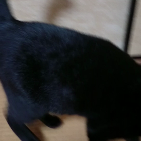 家政夫のＲの画像