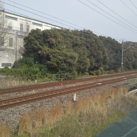 大幅遅れのＤＦ２００甲種輸送の画像