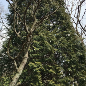 久し振り六甲山（＾ν＾）の画像