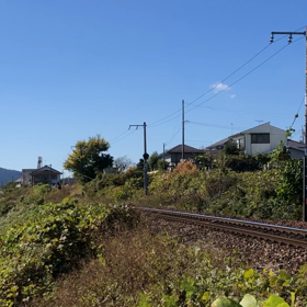 臨時特急の画像