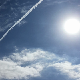 (´⊙ω⊙`)の画像