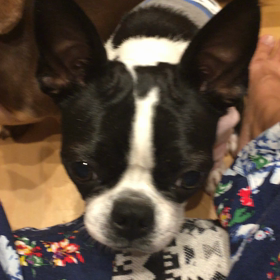 ムシャムシャの画像