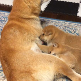 思い出に浸ってます。の画像