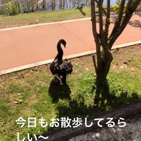 満足v(・∀・*)の画像