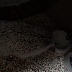 待ってました！の画像