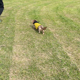 土曜日公園♡の画像