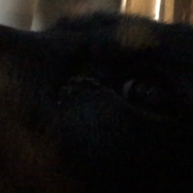 カメラ目線の画像