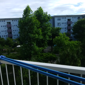 荒れる裏庭の画像