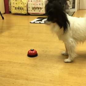 又々、ひみこ。の画像