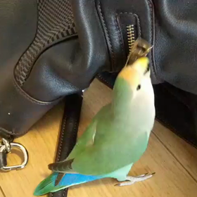 サンドバッグの画像