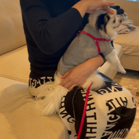 メルちゃんもの画像