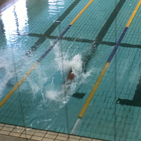 スイミングの前半の画像