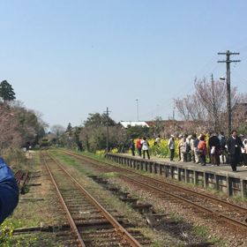 ゆったりと1日を過ごすの画像
