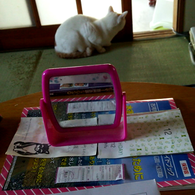 ピーたん、壊れるの画像