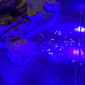 すみだ水族館の画像