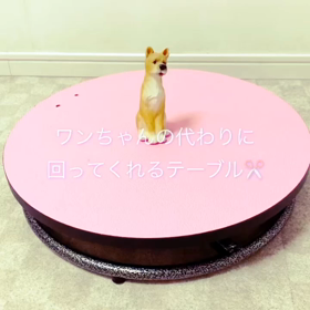 まわるトリミングテーブルの画像