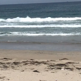 春ボケかな？の画像