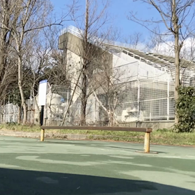 今日の午後のスケート自撮り動画より、、の画像