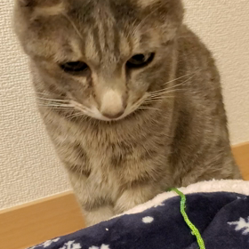 紐と笑い話の画像