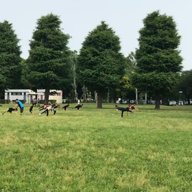 バランス・大股歩行⑪の画像