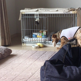 小心者⁉️の画像