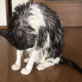 あらまぁ…貧相。part2の画像