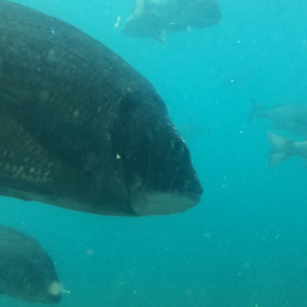 社員旅行の画像