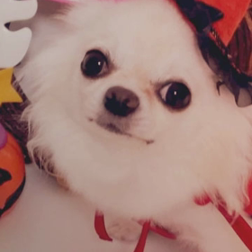 ハッピーハロウィン～♪の画像