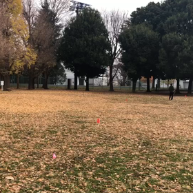 1000m １組目②の画像