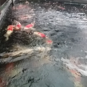 今のうちにの画像